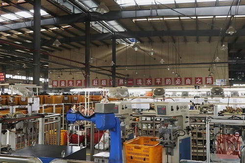 再造一個(gè)新川環(huán) 大竹川環(huán)科技擴(kuò)能建新廠，科技中介服務(wù)賦能產(chǎn)業(yè)升級