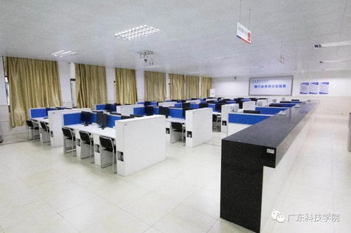 廣東科技學(xué)院41個(gè)本科專業(yè)巡禮 科技中介服務(wù)專業(yè)深度解析